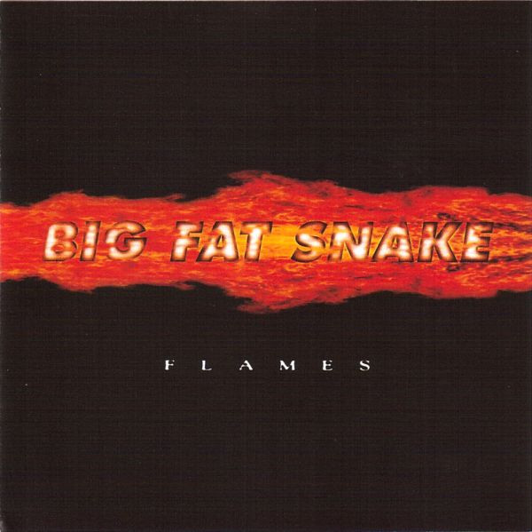 Big Fat Snake